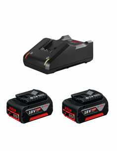 Power Set BOSCH (2 x 18V 5,0 Ah + GAL18V-40)